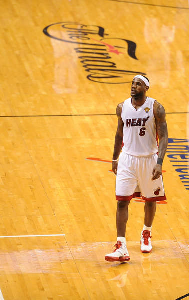 不仅展示了 不仅展示了